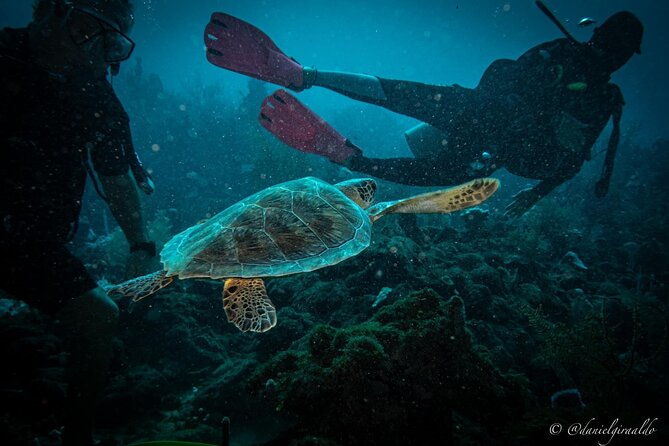 cruise-guest-try-scuba-diving-for-uncertified-divers-w-transport