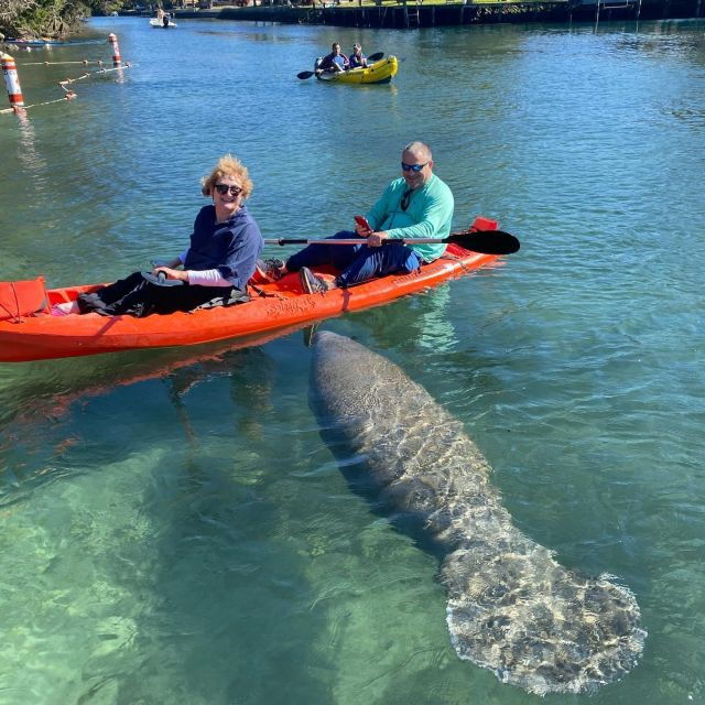 crystal-river-kayak-rental