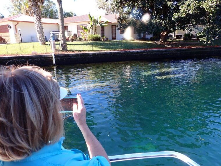 crystal-river-manatee-viewing-cruise-2