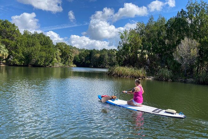 crystal-river-reserve-state-park-electric-paddleboard-rentals