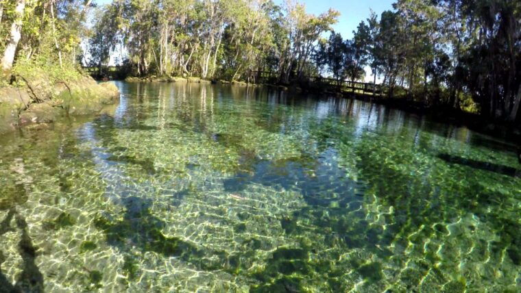 crystal-river-three-sisters-springs-guided-kayak-tour