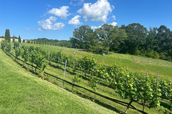 dahlonega-wine-dine-private-tour-from-atlanta
