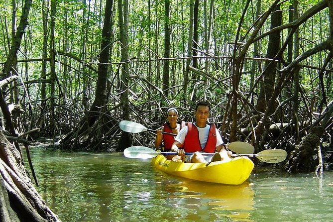 damas-island-kayaking-tour-from-manuel-antonio