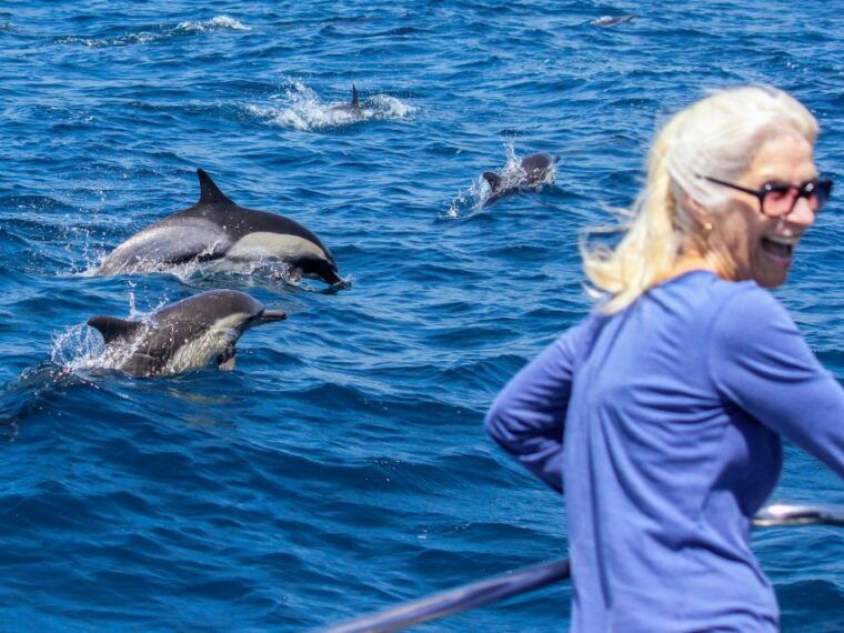 dana-point-dolphin-whale-watching-with-underwater-viewing