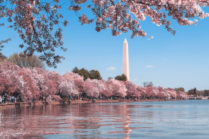 day-or-night-private-dc-monuments-tour-luxury-stretch-limo