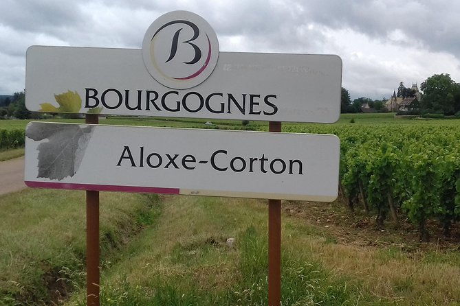 day-tour-of-the-grands-crus-vineyards-of-burgundy