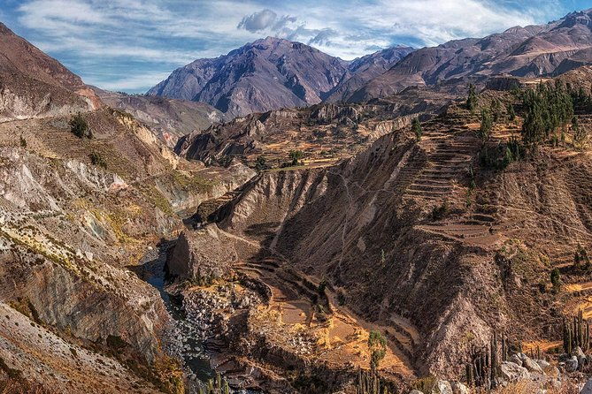 day-tour-to-colca-canyon-from-arequipa