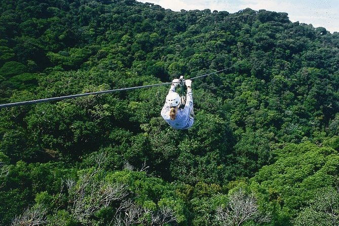 day-trip-from-san-jose-to-monteverde-cloud-forest-sky-adventure-park