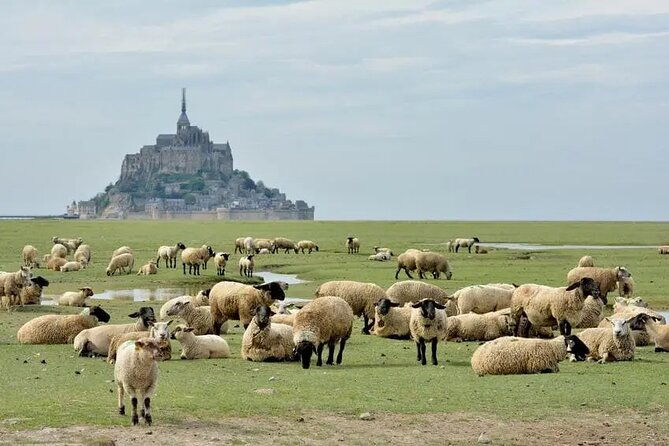 day-trip-with-a-local-driver-mont-saint-michel-from-saint-malo-6h