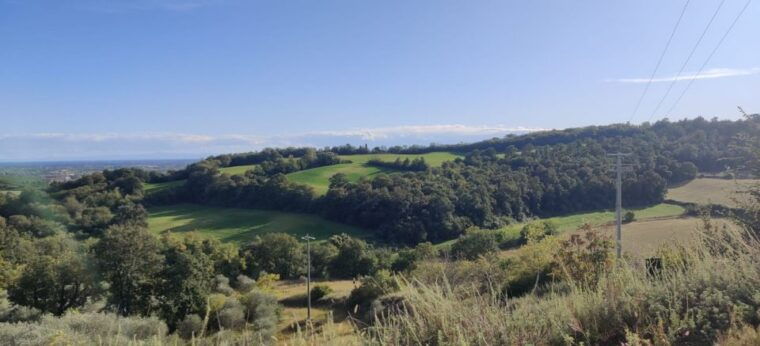 desenzano-e-bike-tour-with-wine-tasting