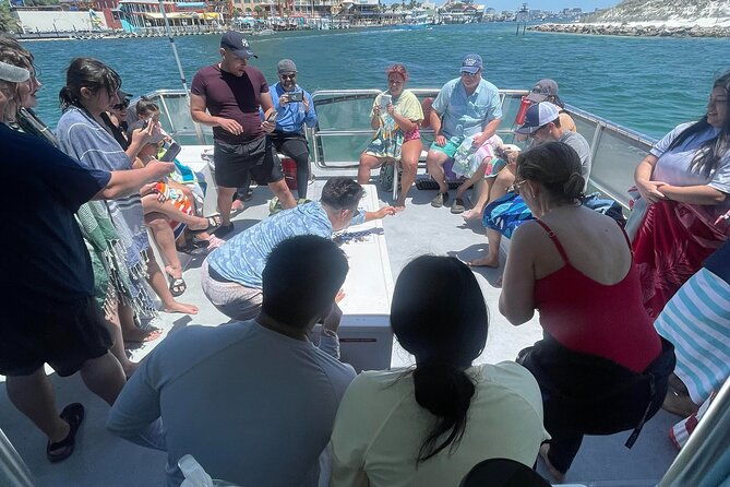 destin-crab-island-tour