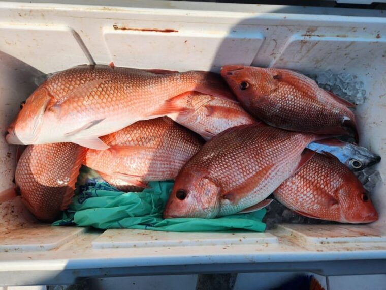 destin-fish-and-fun-destin