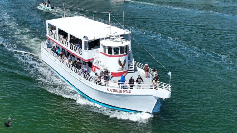 destin-sunset-dolphin-cruise