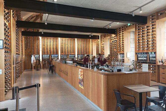 dijon-guided-tour-with-wine-tasting-included