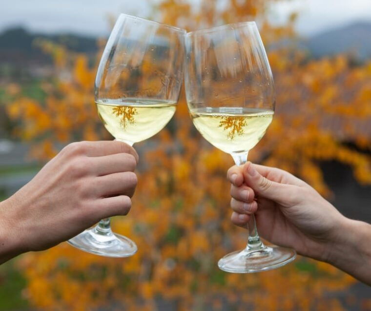 discover-the-essence-of-txakoli-wine-from-san-sebastian