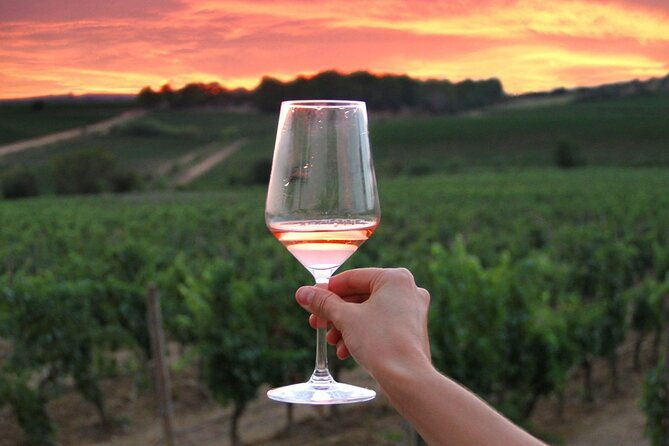discover-the-wine-producers-of-emilia-romagna