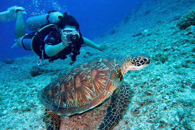 diving-baptism