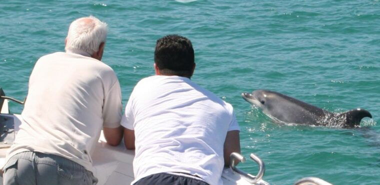 dolphin-watching-in-the-wild-half-day-private-tour
