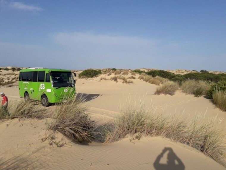donana-national-park-off-road-tour-from-seville