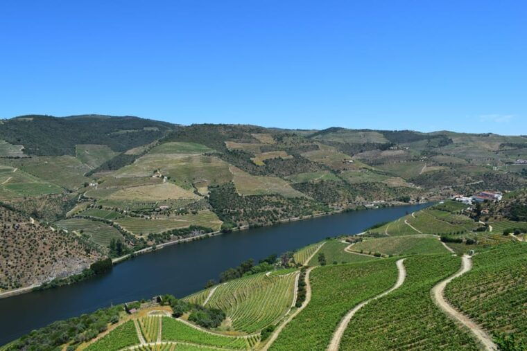 douro-off-road-experience-visit-to-a-winery-and-a-picnic