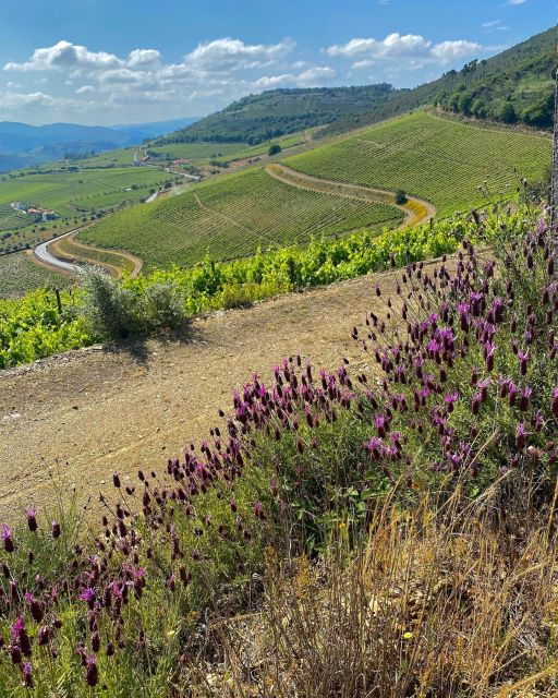 douro-walking-with-full-fancy-lunch-and-premium-wines