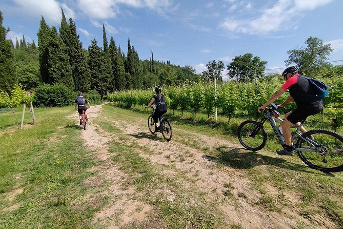 e-bike-and-tour-from-lonato-del-garda-with-wine-tasting