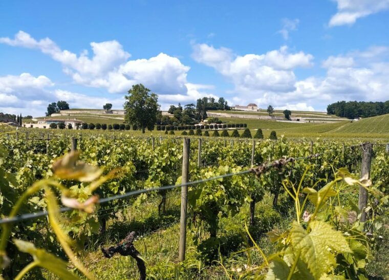 e-bike-journey-from-bordeaux-to-saint-emilion