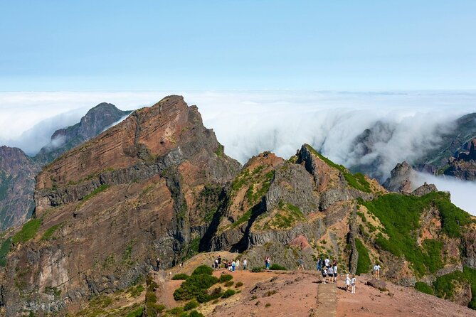 eastern-madeira-sustainable-tour-in-a-4x4-with-lunch