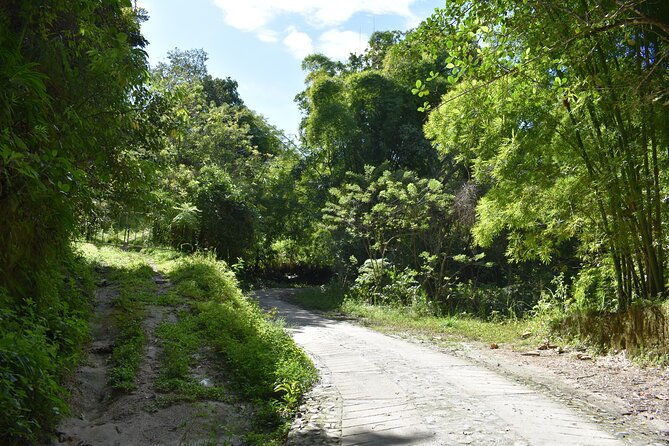 easy-half-day-hike-to-gorgeous-waterfalls-in-minca