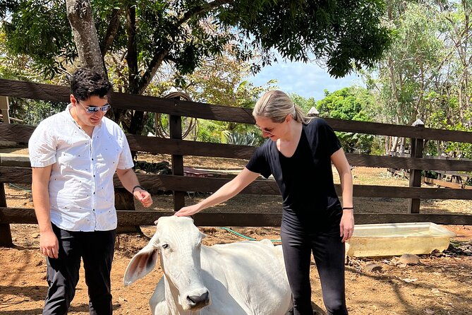 eco-agro-adventure-with-horseback-riding-in-a-private-ranch