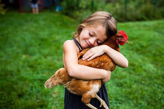 educational-farm-adventure-tour-on-bainbridge-island