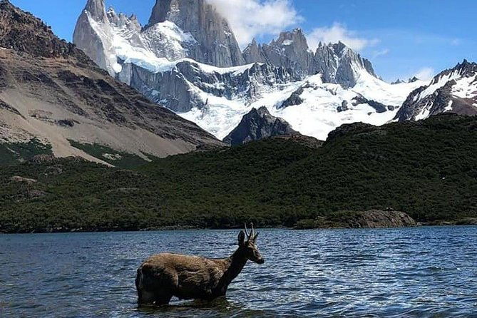 el-chalten-full-day-free-trek-from-el-calafate