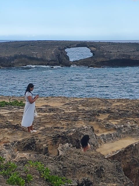 elfs-highly-customized-private-tours-oahu-hawaii