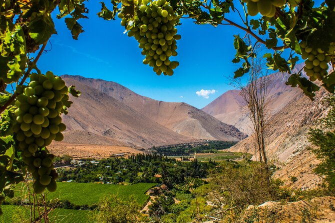 elqui-valley-cruise-excursion-in-coquimbo
