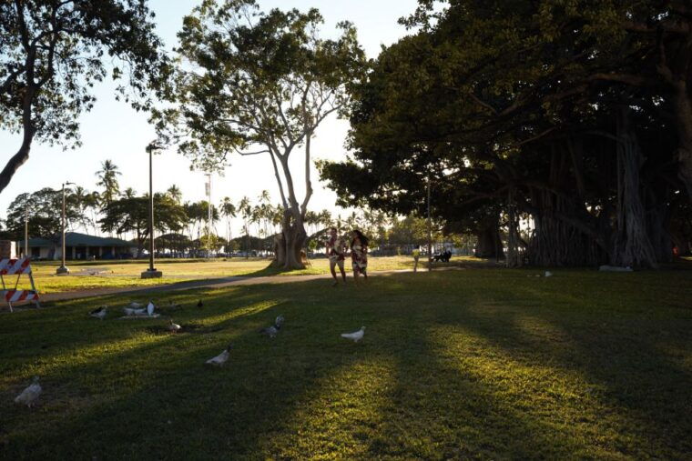 enjoy-private-professional-photo-tour-in-honolulu-island