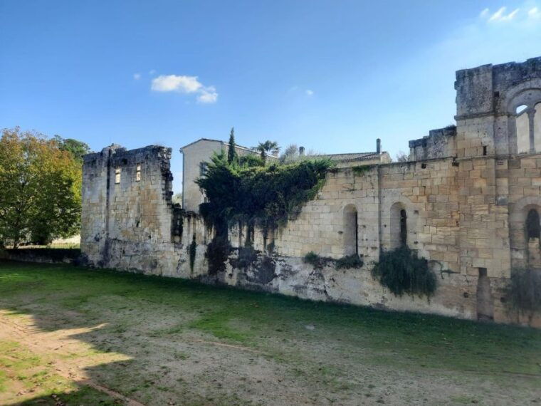 enjoy-saint-emilion-with-a-wine-tasting-in-5-hours