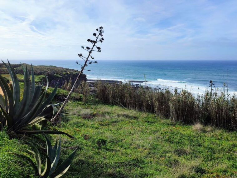 ericeira-private-tour-10-tastings-food-tour-3