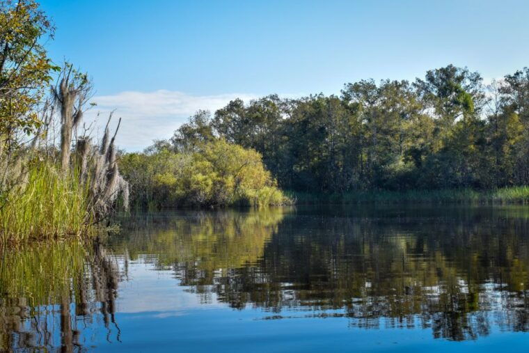 everglades-city-guided-kayaking-tour-of-the-wetlands