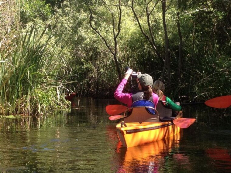 everglades-kayak-safari-adventure-through-mangrove-tunnels