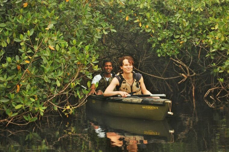everglades-national-park-mangrove-tunnel-kayak-eco-tour