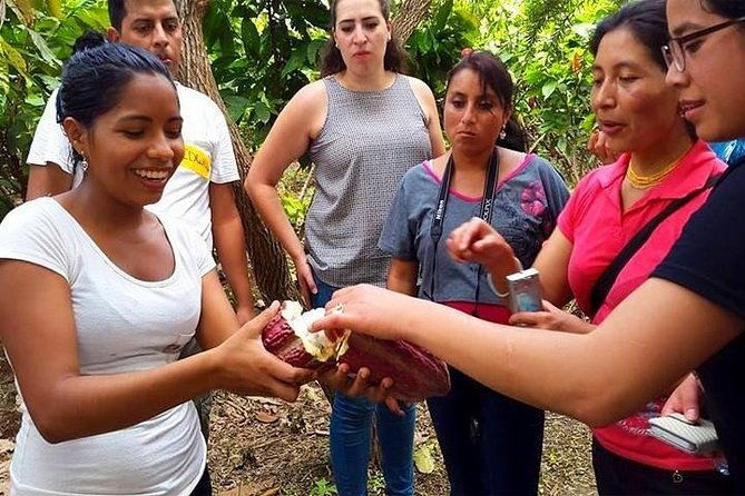 excursion-day-to-cocoa-farm-from-guayaquil