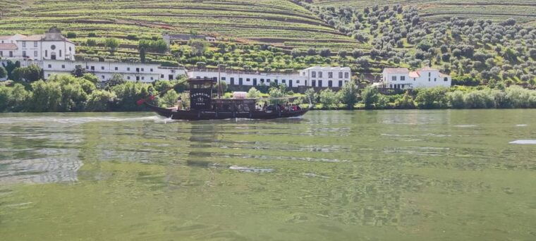 experience-in-pinhao-wine-tasting-lunch-and-rabelo-boat