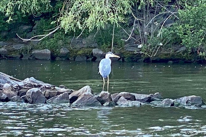 explore-bird-marine-wildlife-private-boat-tour-in-english