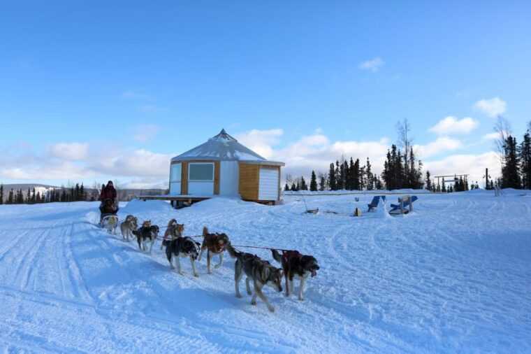 fairbanks-1-hour-alaskan-winter-dog-sledding-adventure