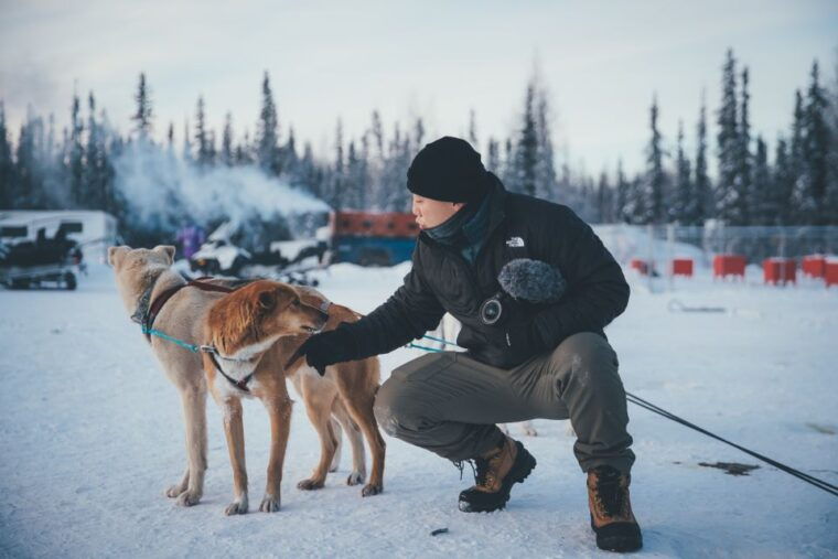 fairbanks-dog-sledding-tour-with-transportation