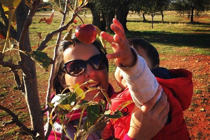 farm-to-table-cooking-class-in-an-organic-farm-laconia-greece
