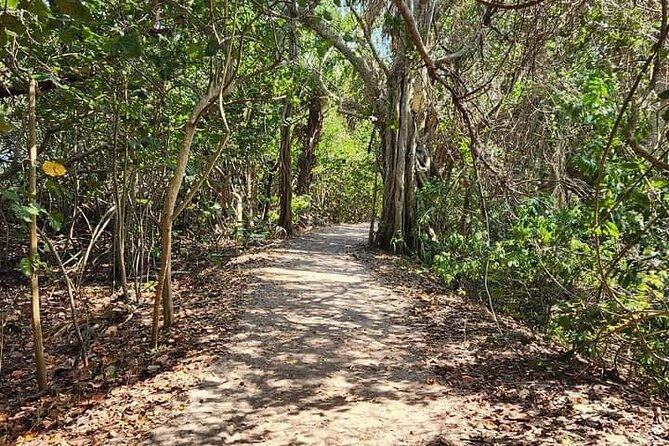 florida-backcountry-overnight-camping-adventure