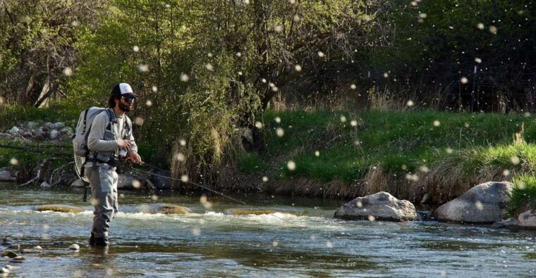 fly-fish-utah-blue-ribbon-trout-waters