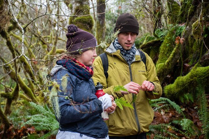 foraging-tour-of-edible-plants-and-mushrooms-in-brinnon