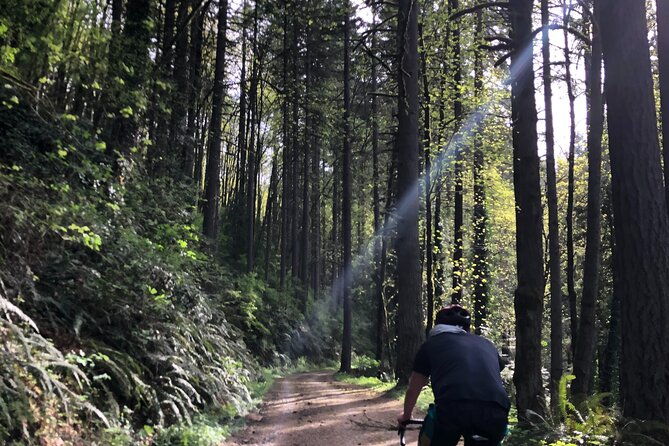 forest-park-carbon-gravel-bike-and-e-bike-tour